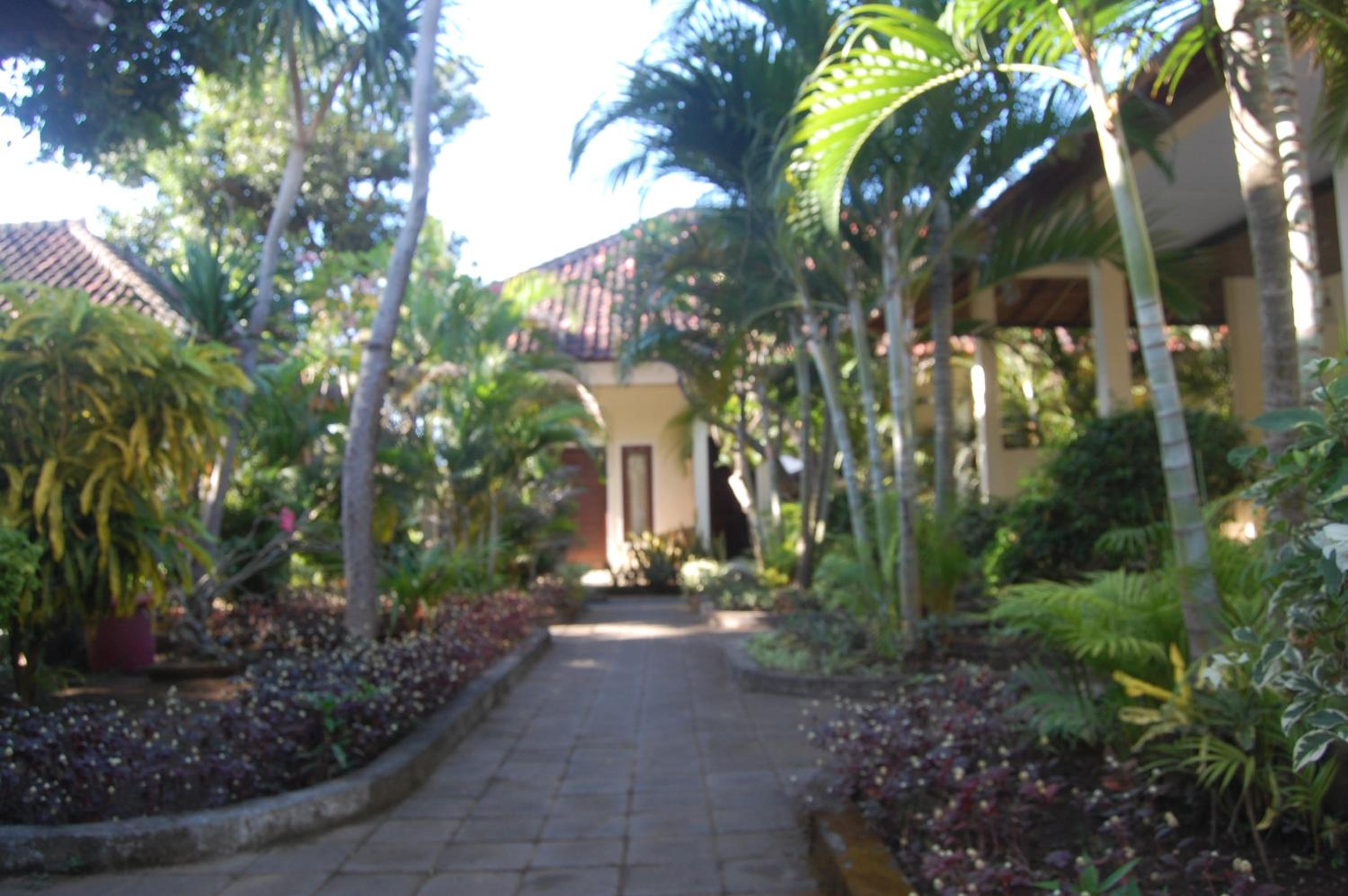 Star East Bungalows - Image 3