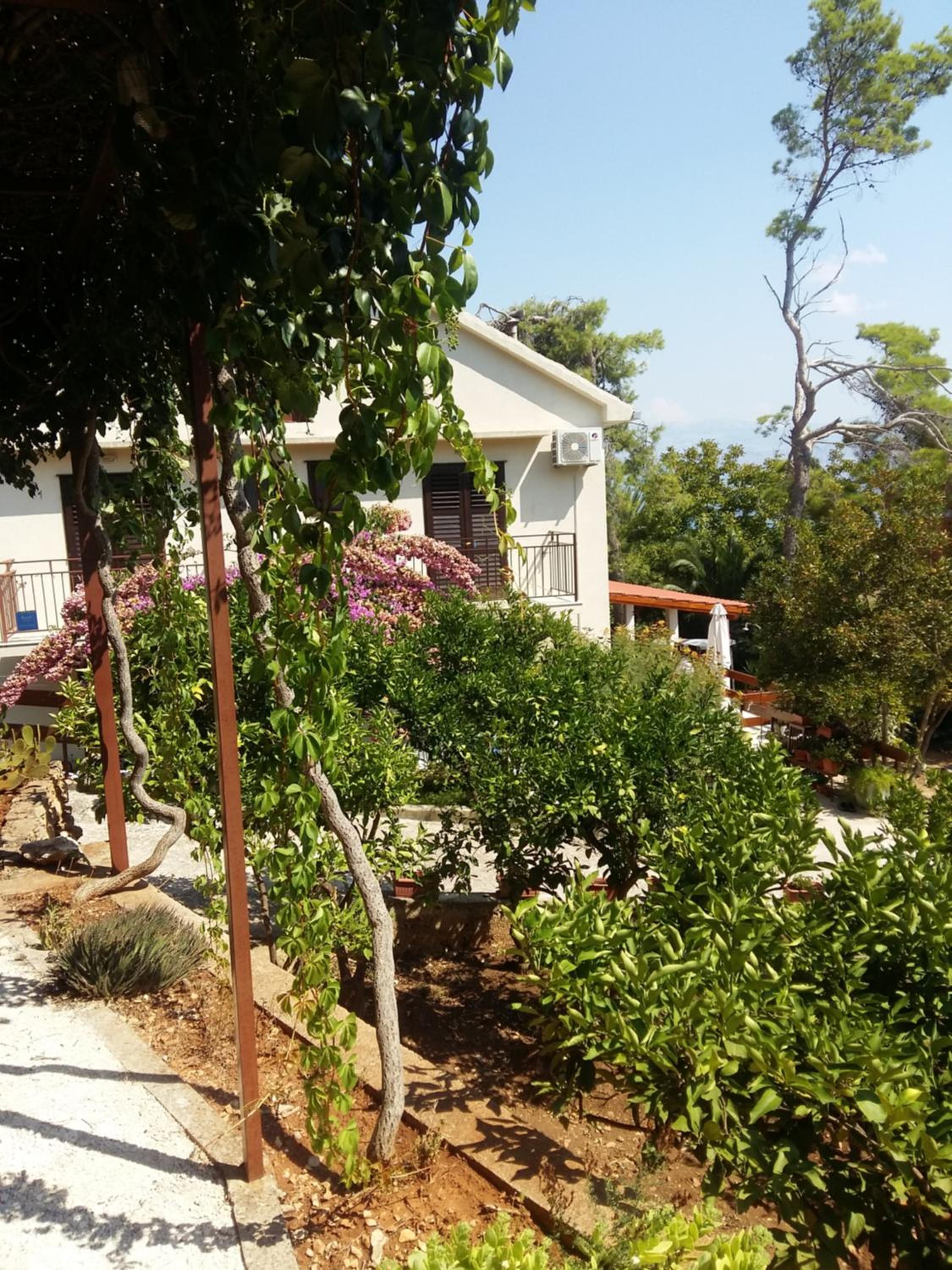Photo 8