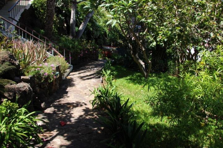 Photo 53