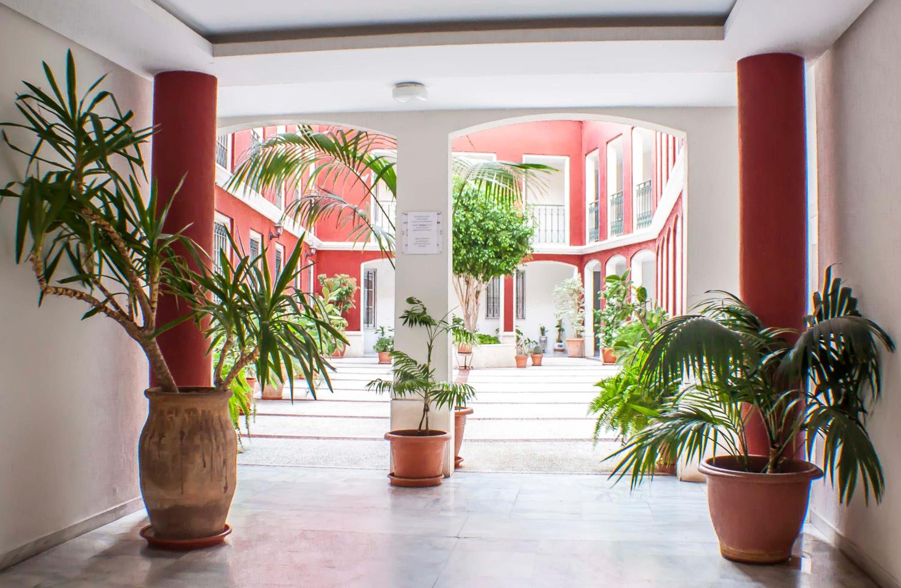 Conde Ibarra Central view 5