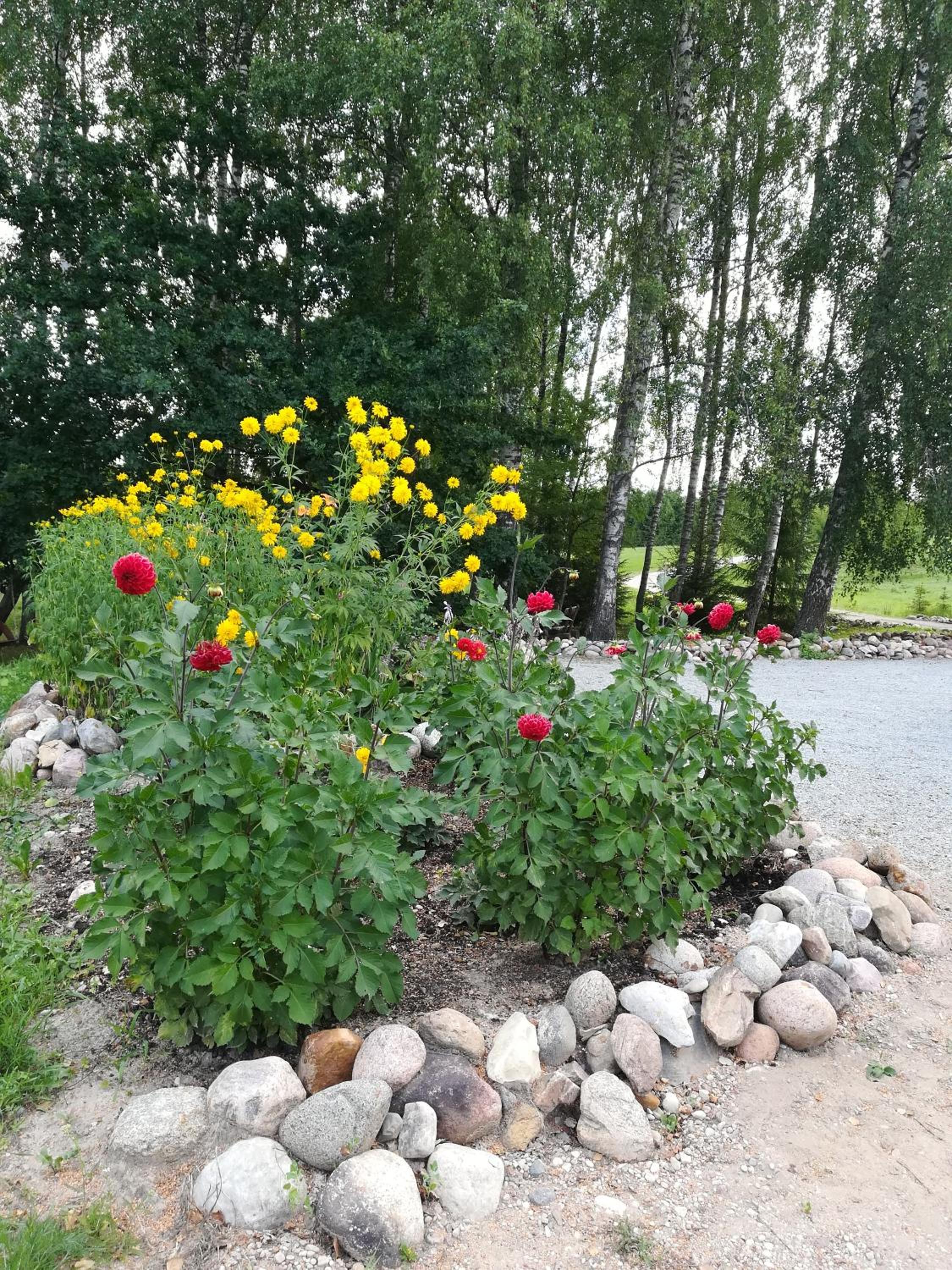 Photo 25