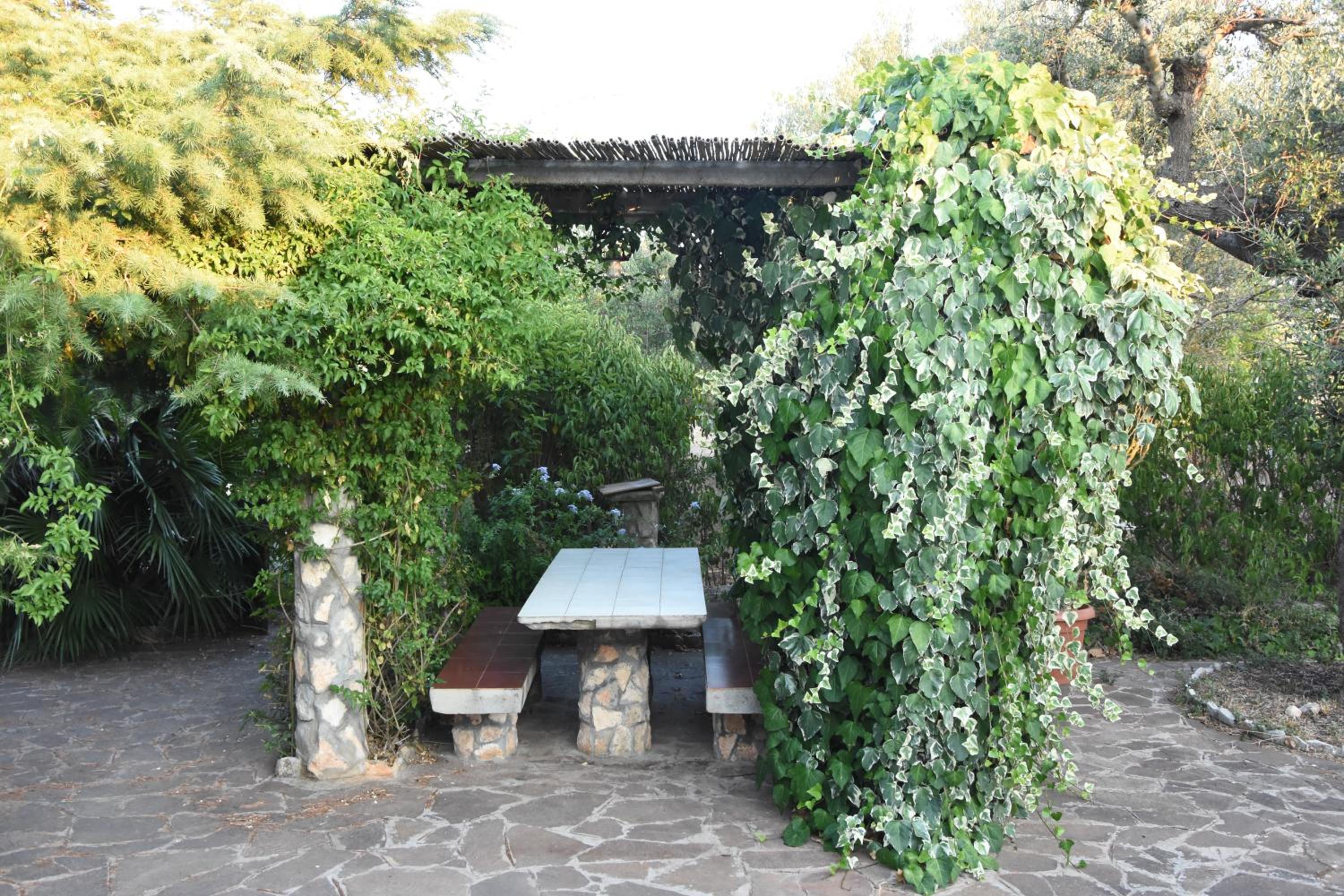 Photo 20