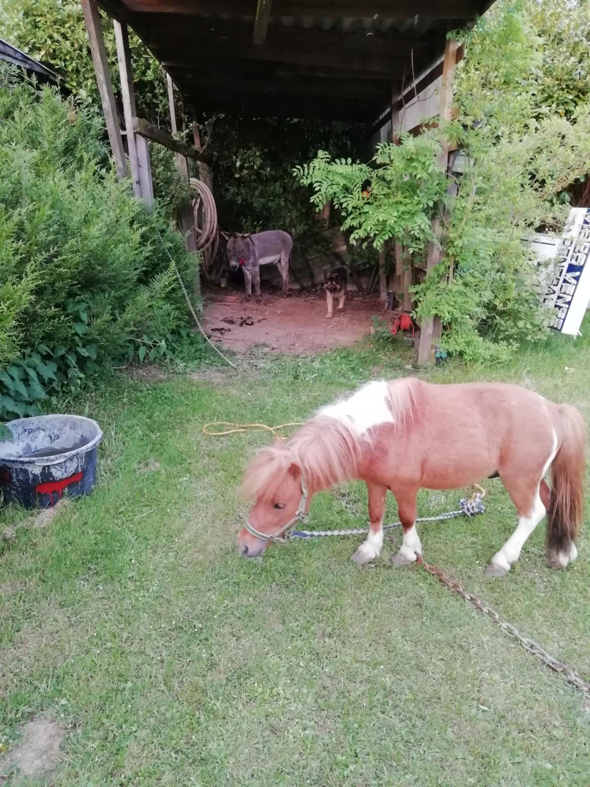 Florennes Gîte neuf 150 M2 devant un grand lac privé de 2 hectares poissonneux au milieu des bois