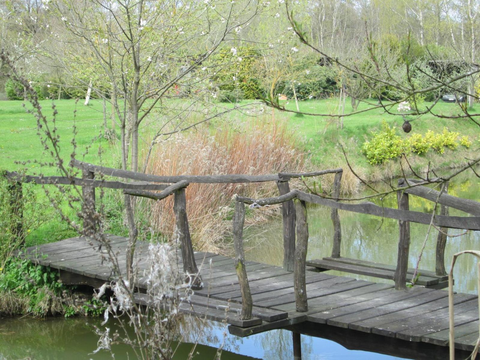 Florennes Gîte neuf 150 M2 devant un grand lac privé de 2 hectares poissonneux au milieu des bois
