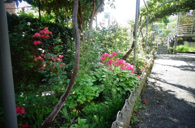Photo 27