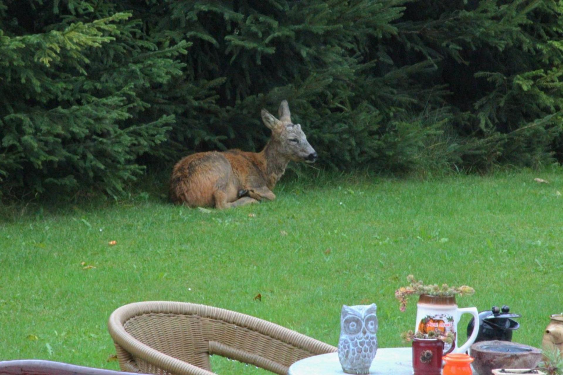 Photo 40