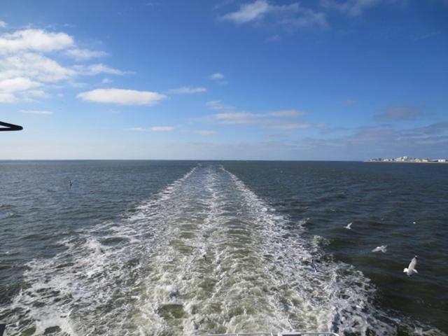 Photo 36