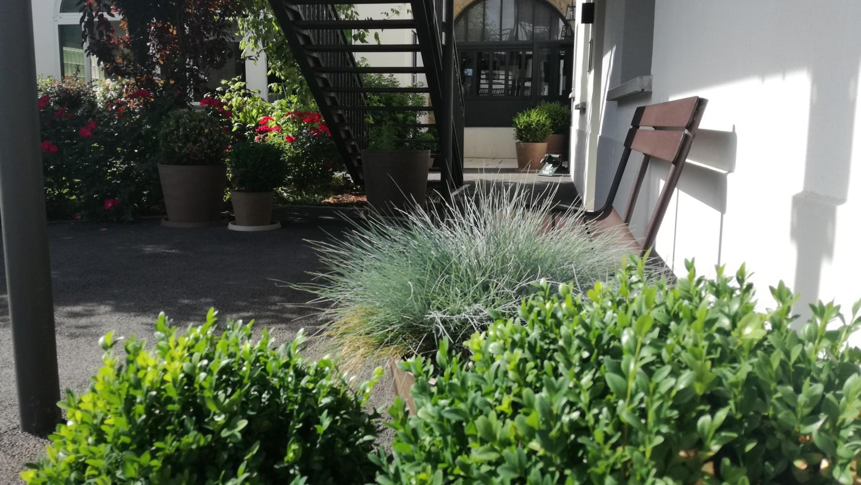 garden