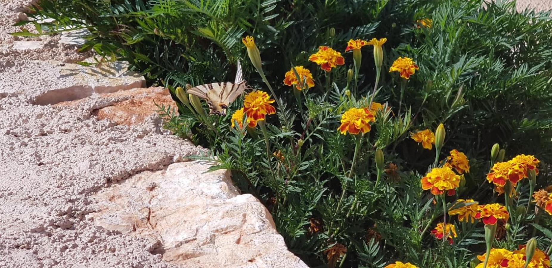 Flower Vila