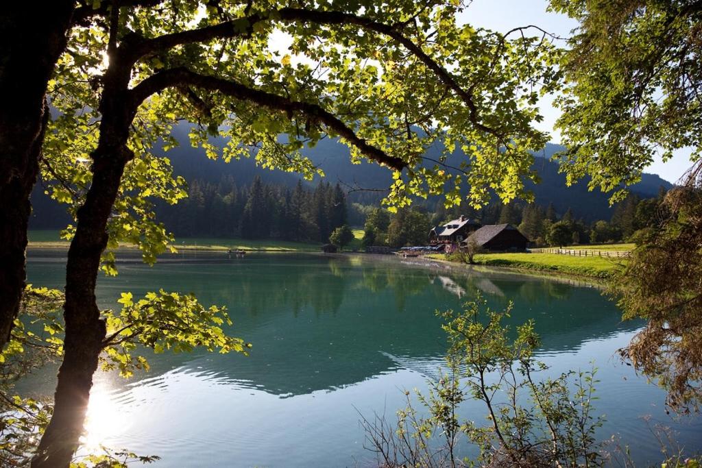 Photo 59