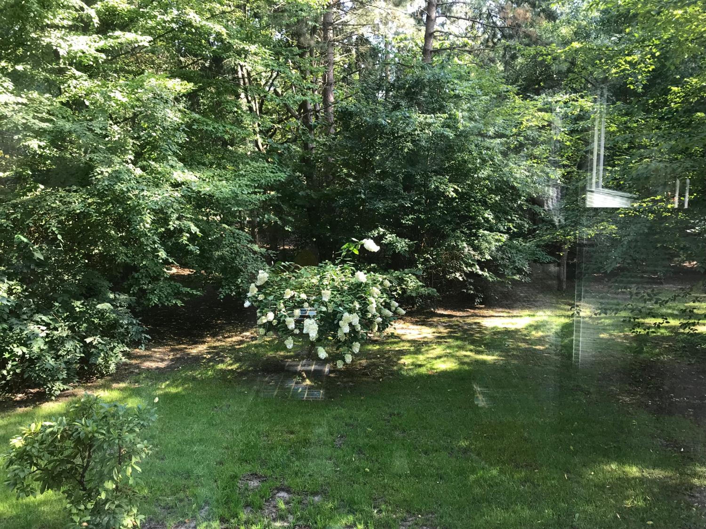 Photo 26