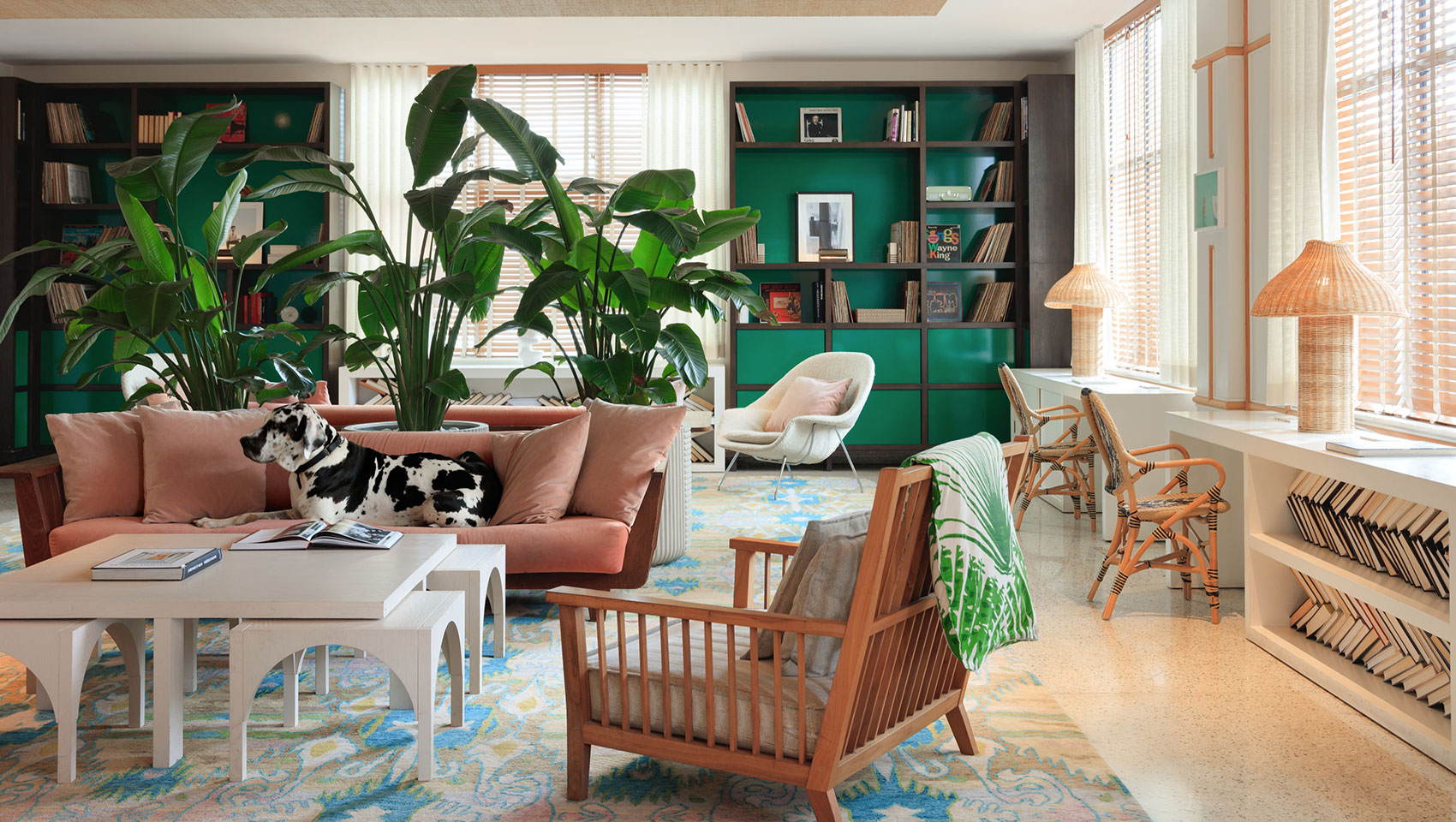 Kimpton Surfcomber Hotel photo 4