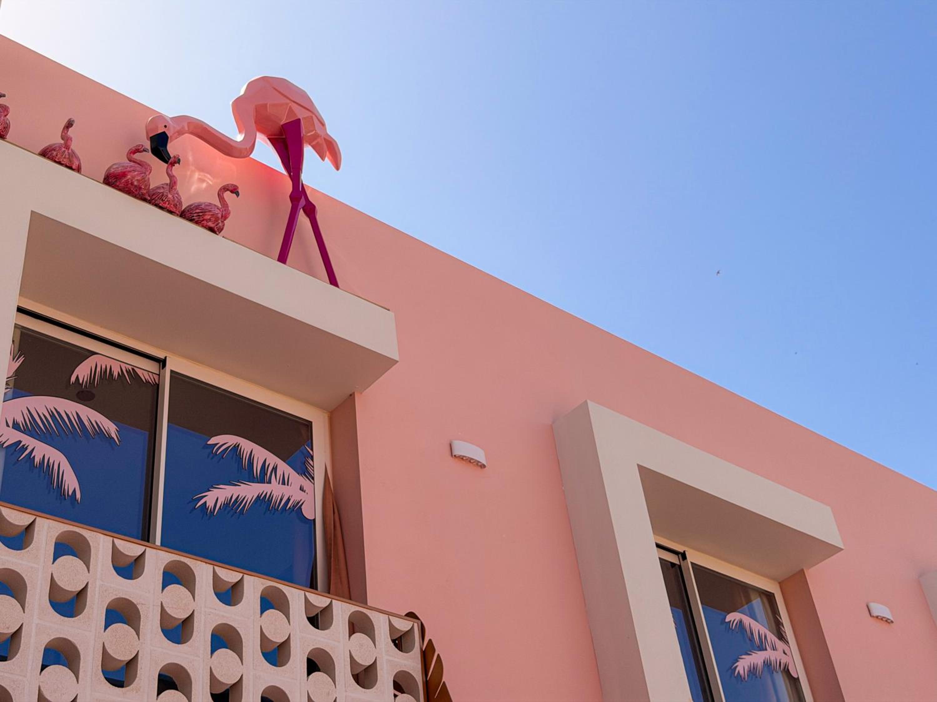 On Pink Motel, fotografía 4