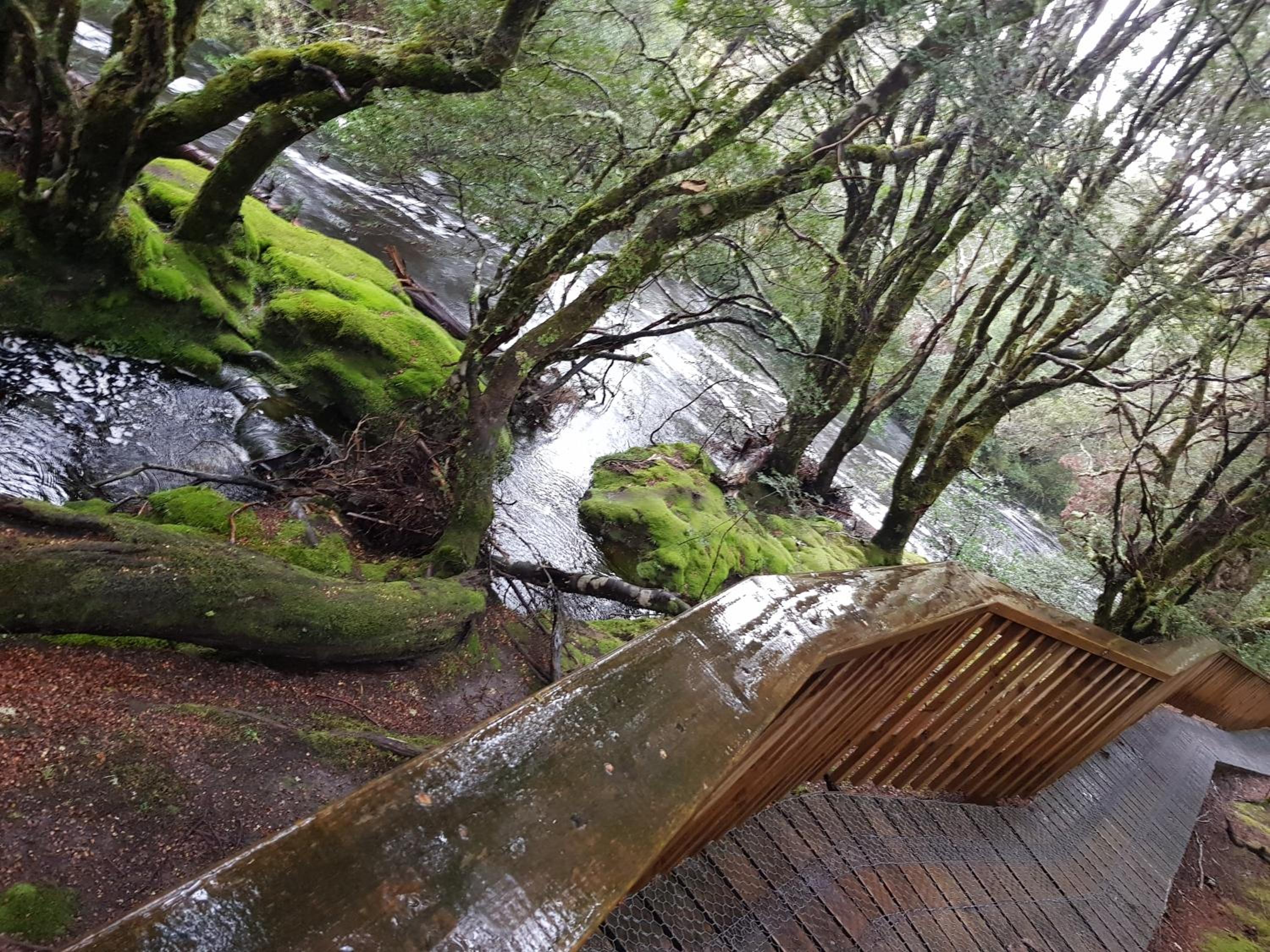 Cradle Alpine Retreat