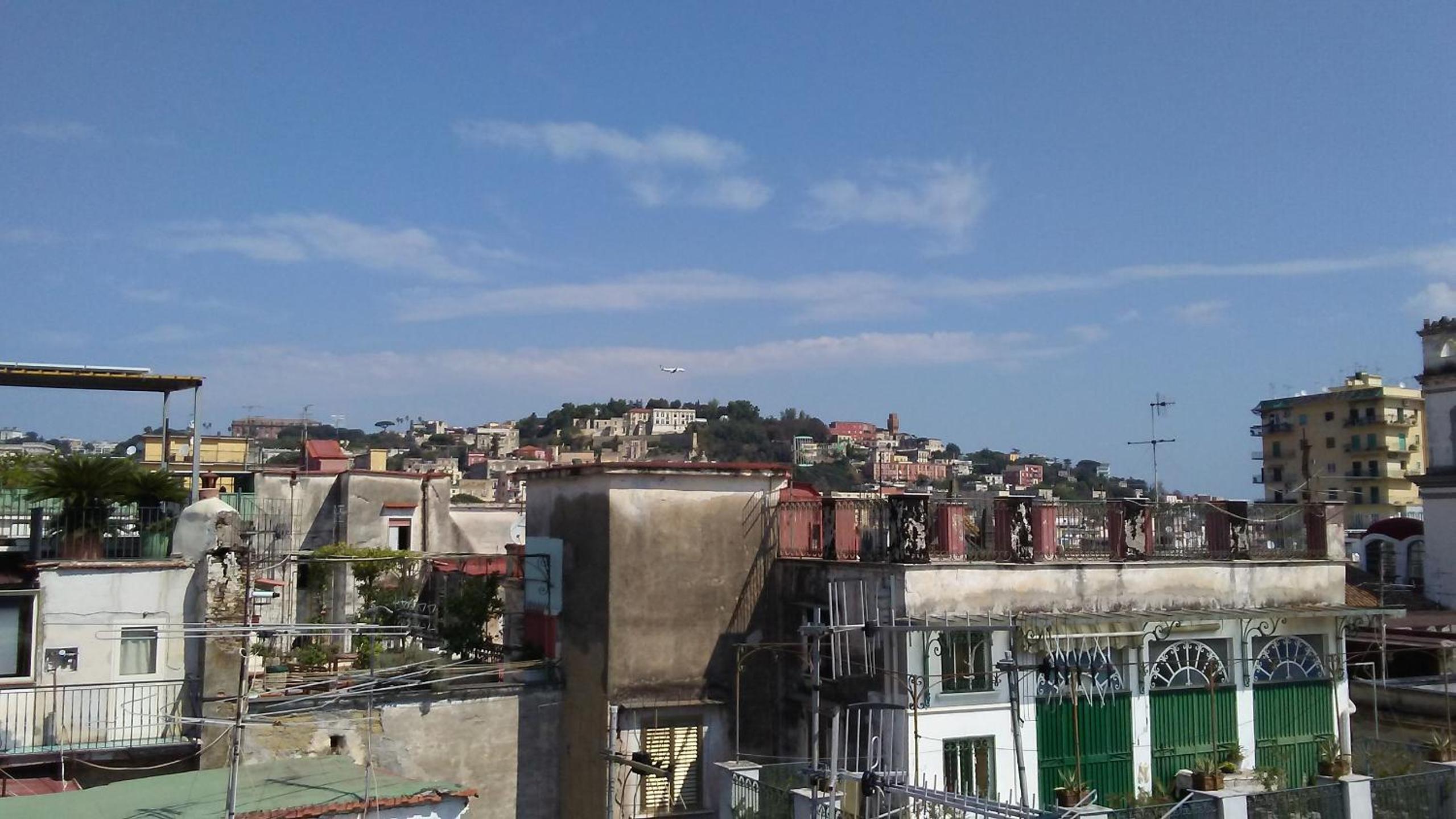 roof