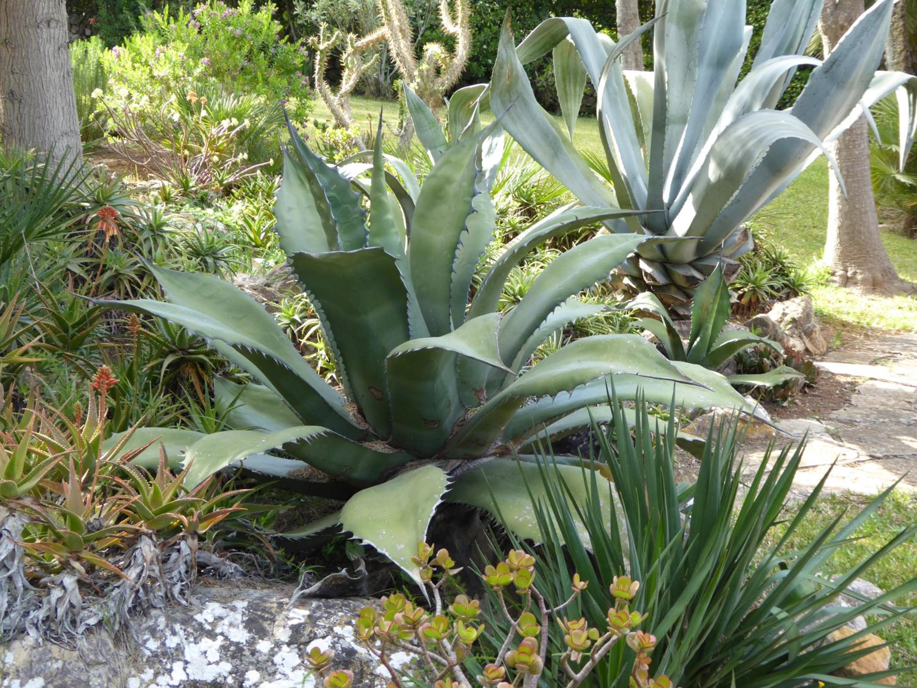 Photo 20