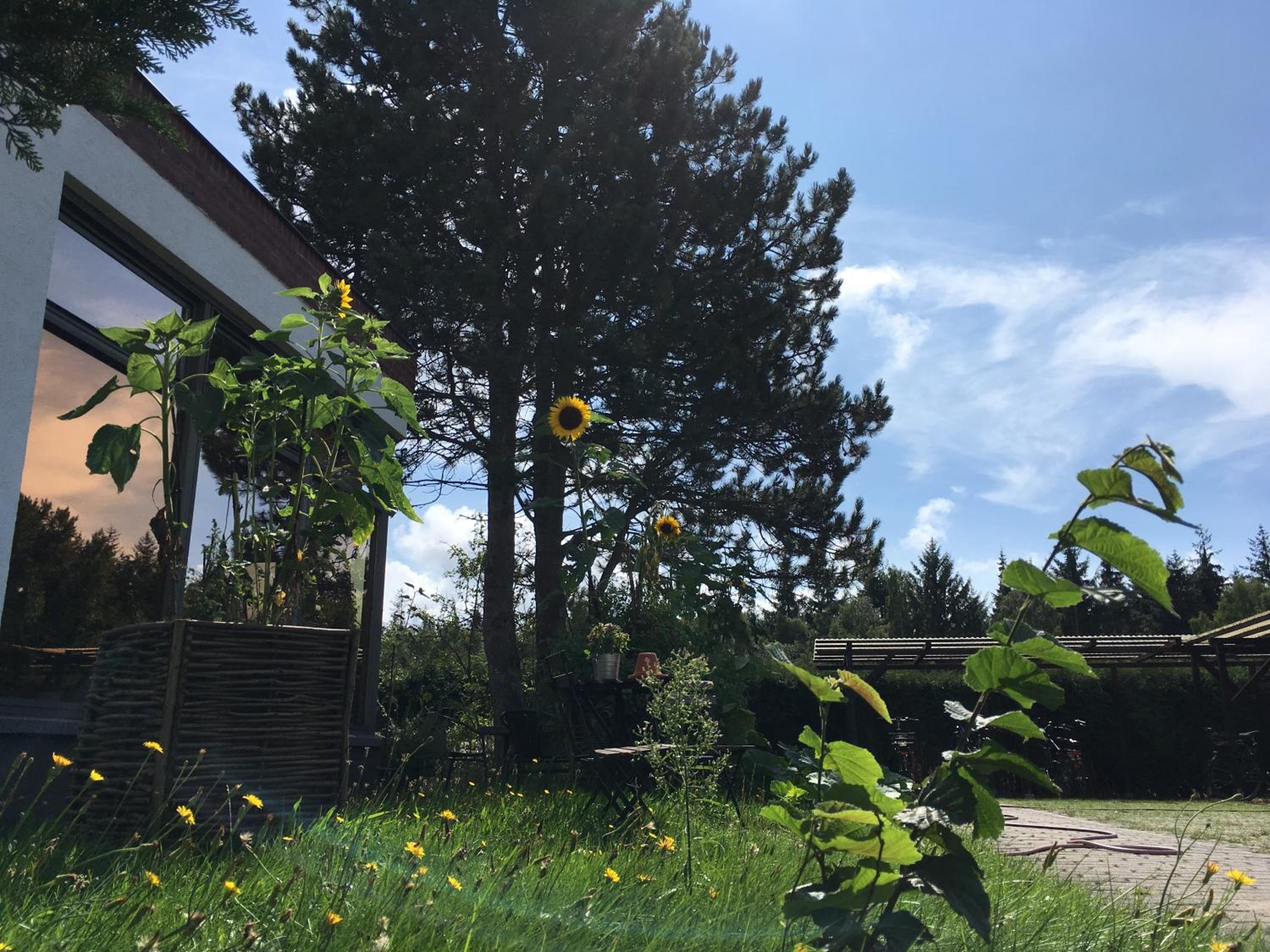 Photo 19