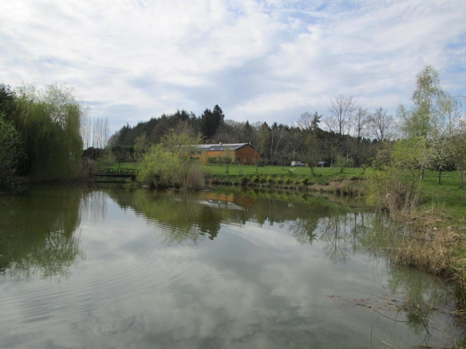 Florennes Gîte neuf 150 M2 devant un grand lac privé de 2 hectares poissonneux au milieu des bois