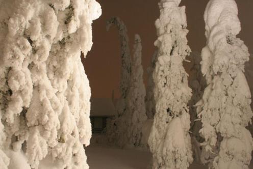 Kelokoto Chalets