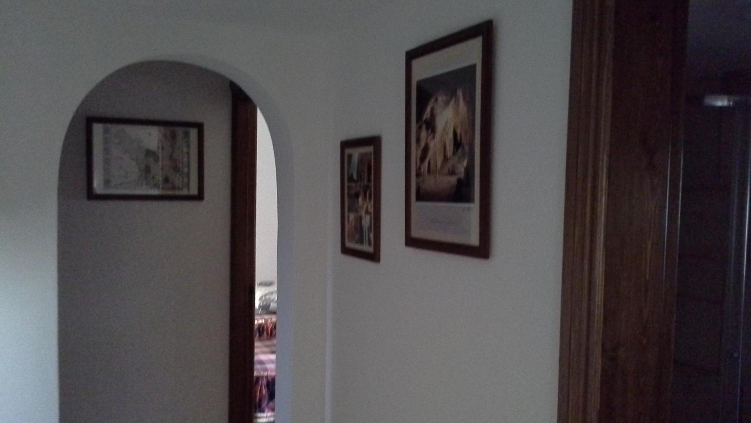Photo 51