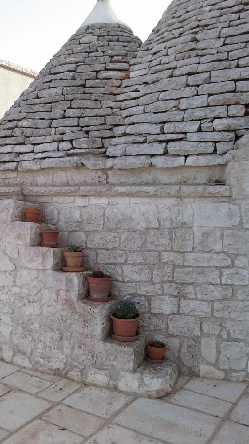 Photo 33