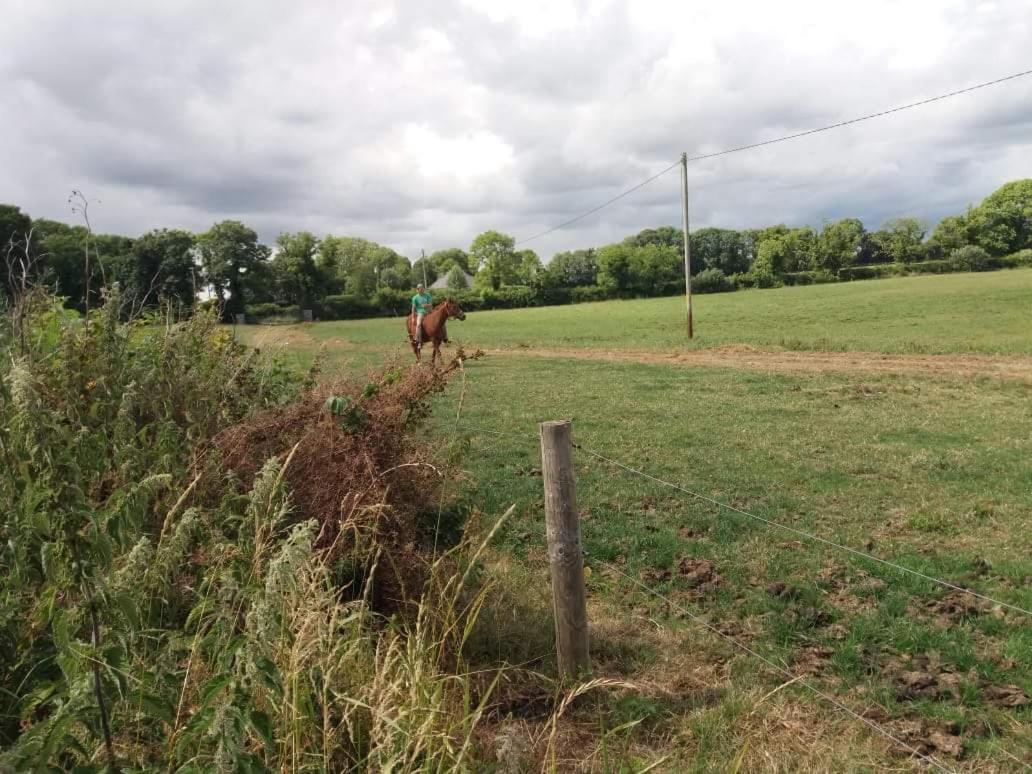 Castletownmoor Clinic & Permaculture Farm view 3