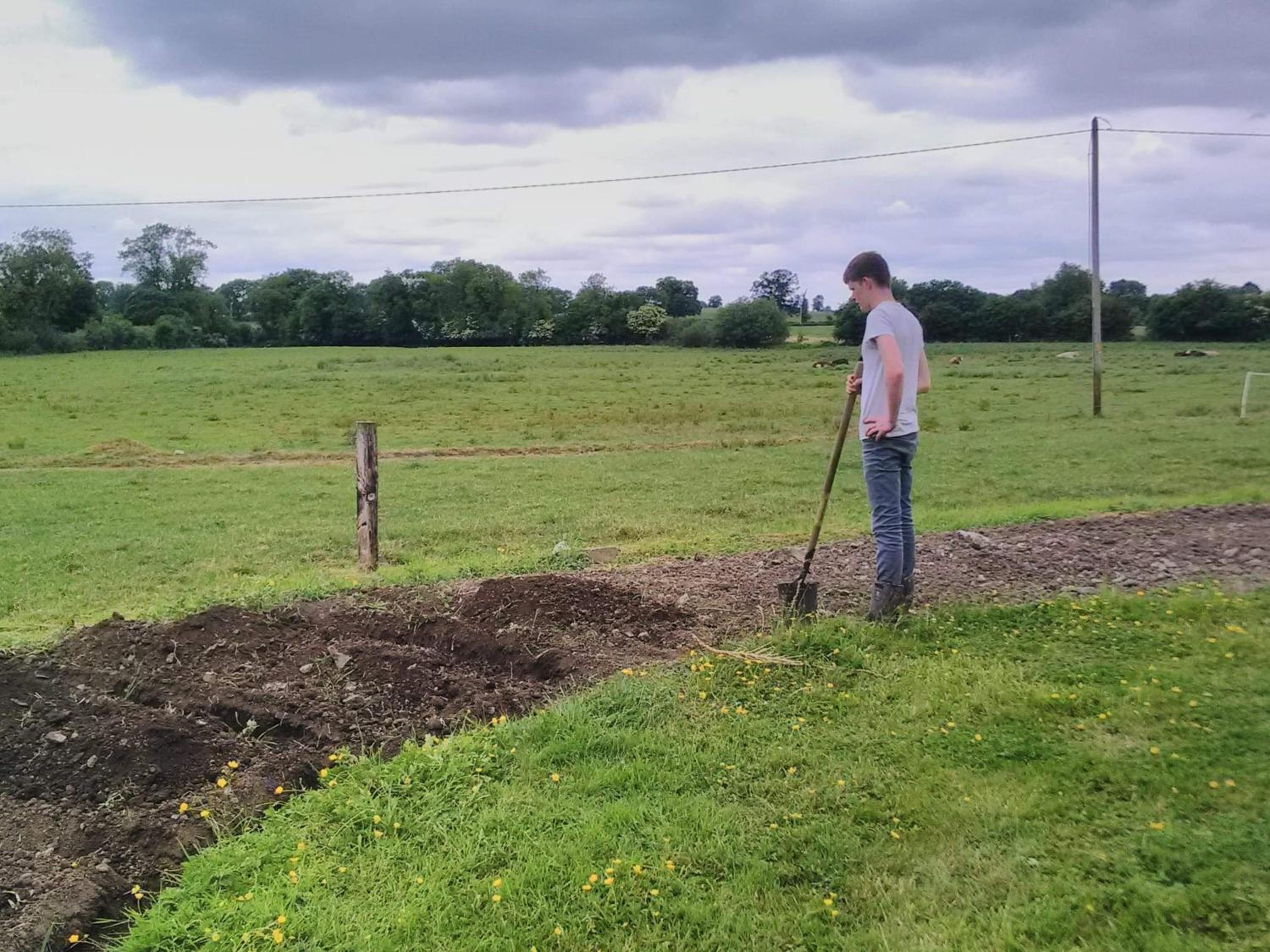 Castletownmoor Clinic & Permaculture Farm view 5