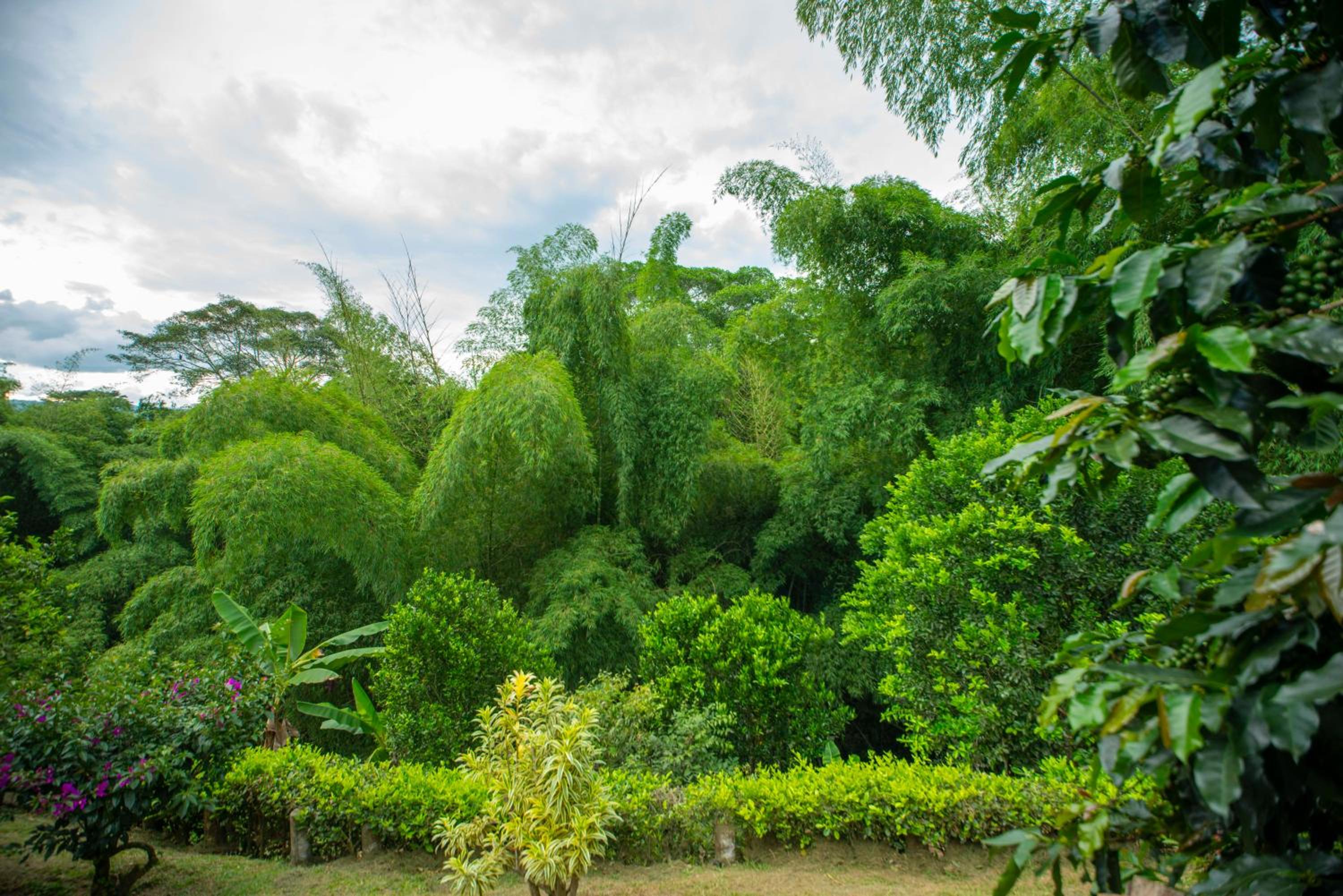 Finca Villa Gregory
