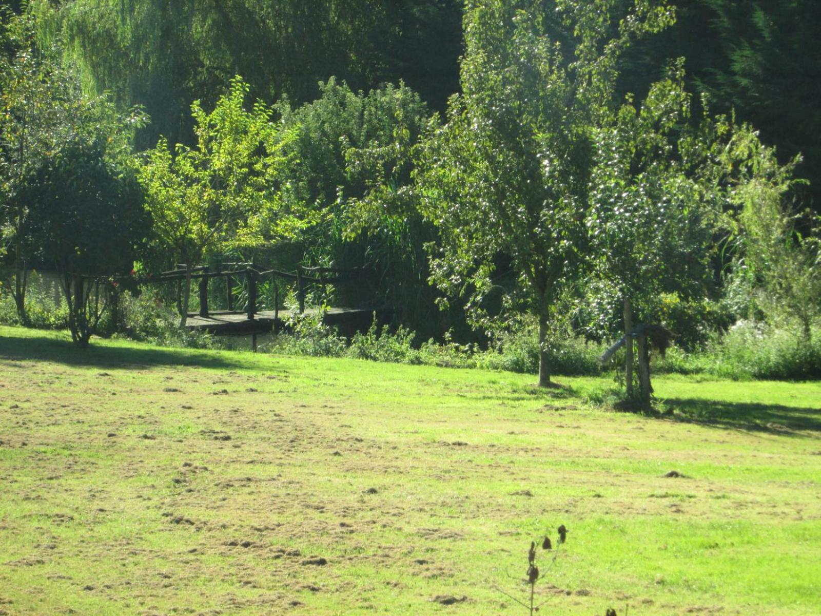 Florennes Gîte neuf 150 M2 devant un grand lac privé de 2 hectares poissonneux au milieu des bois
