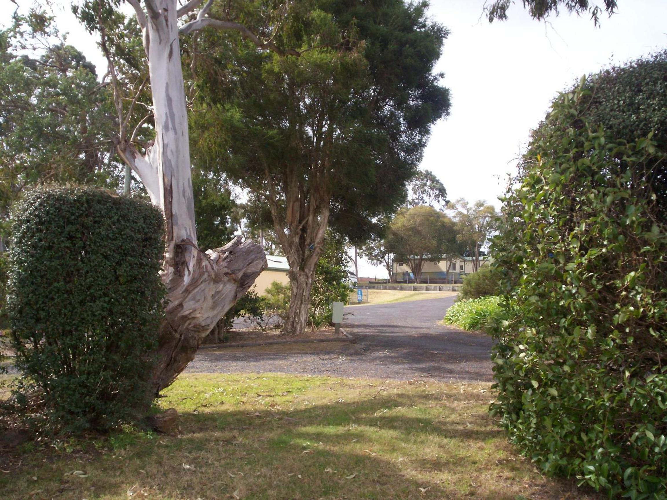 Photo 30