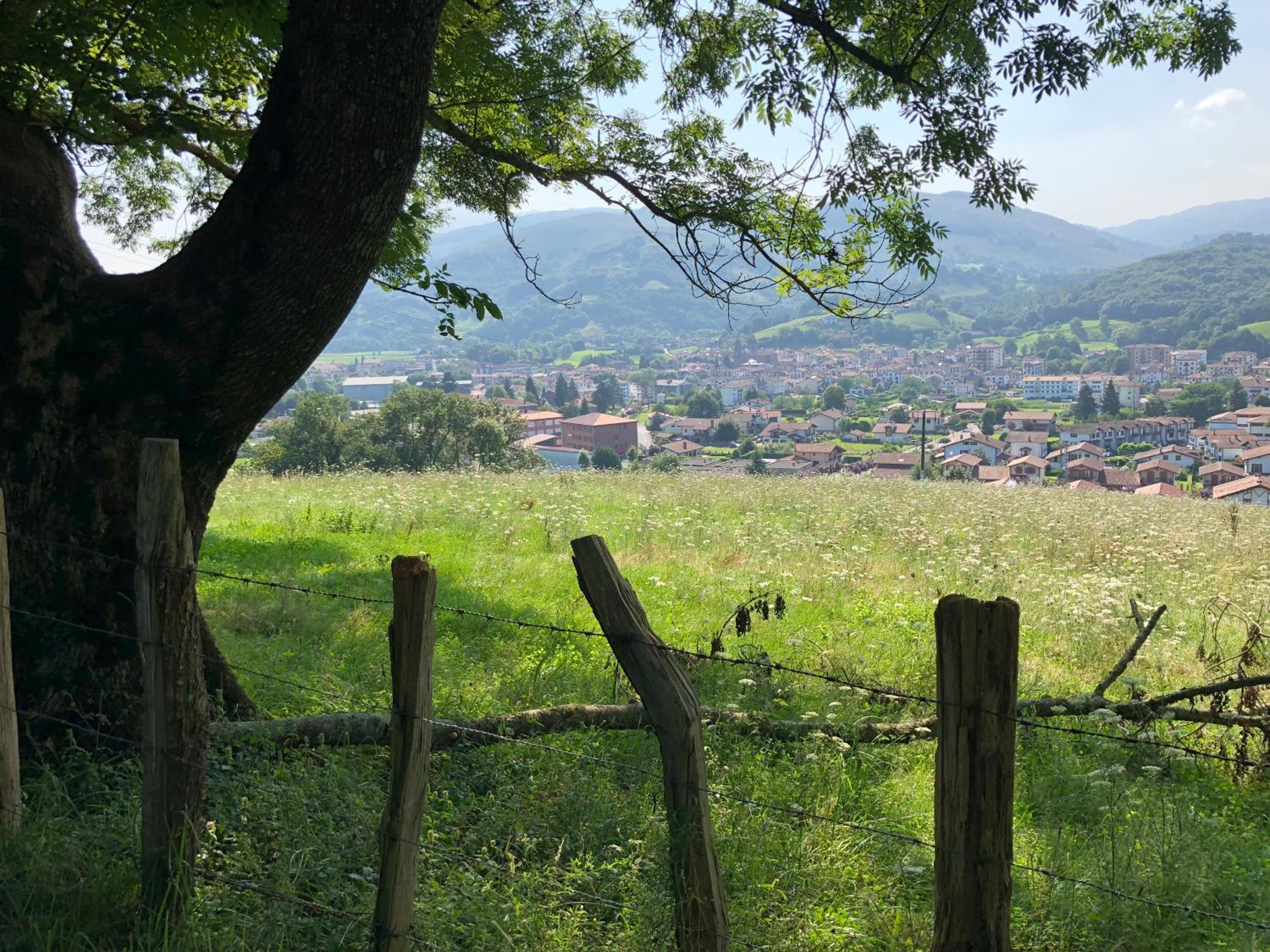 Zubitarte view 5