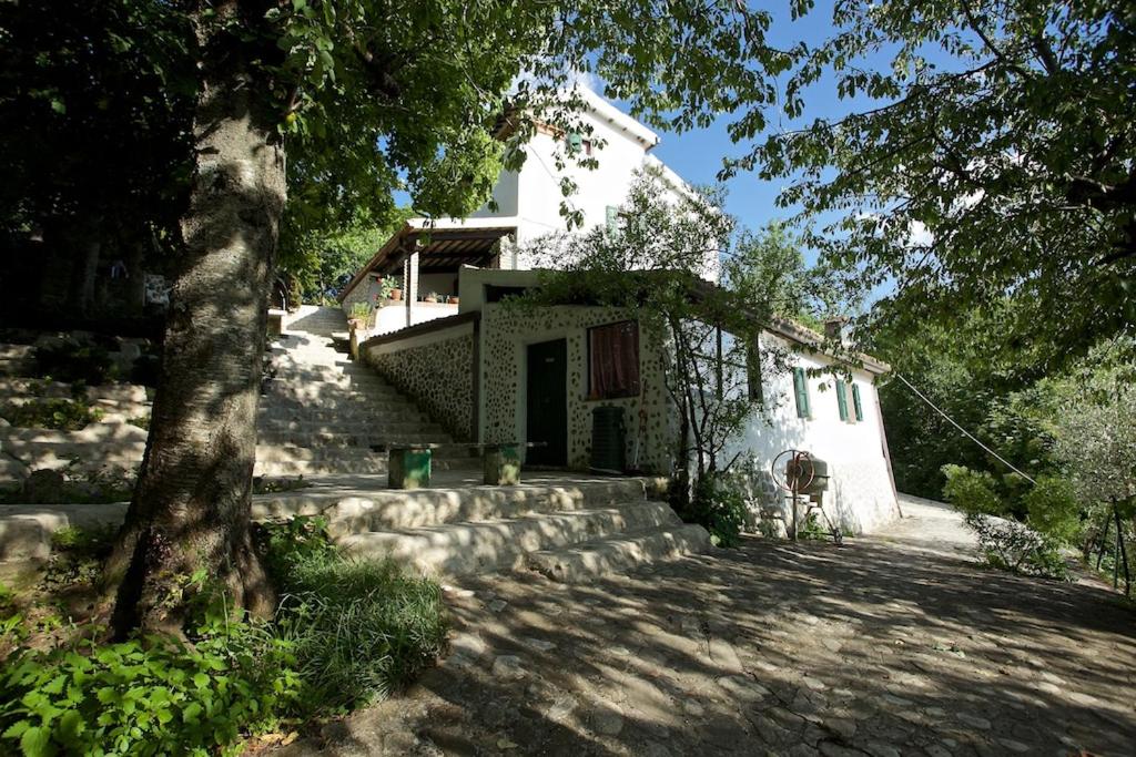 Photo 26