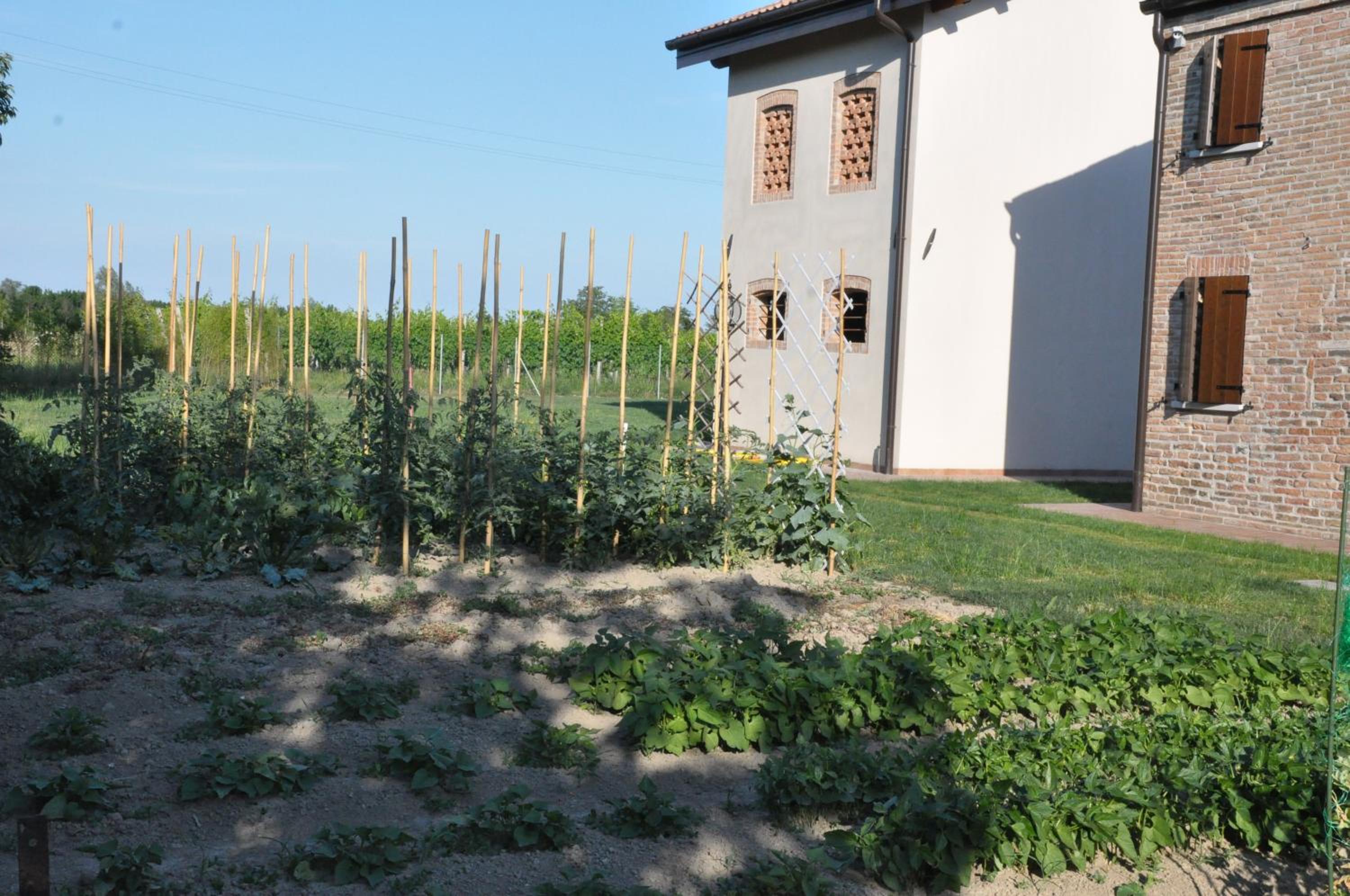 Casa Sansovino