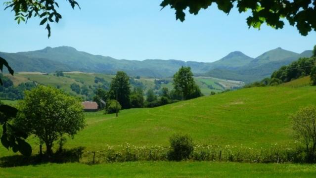 Photo 27