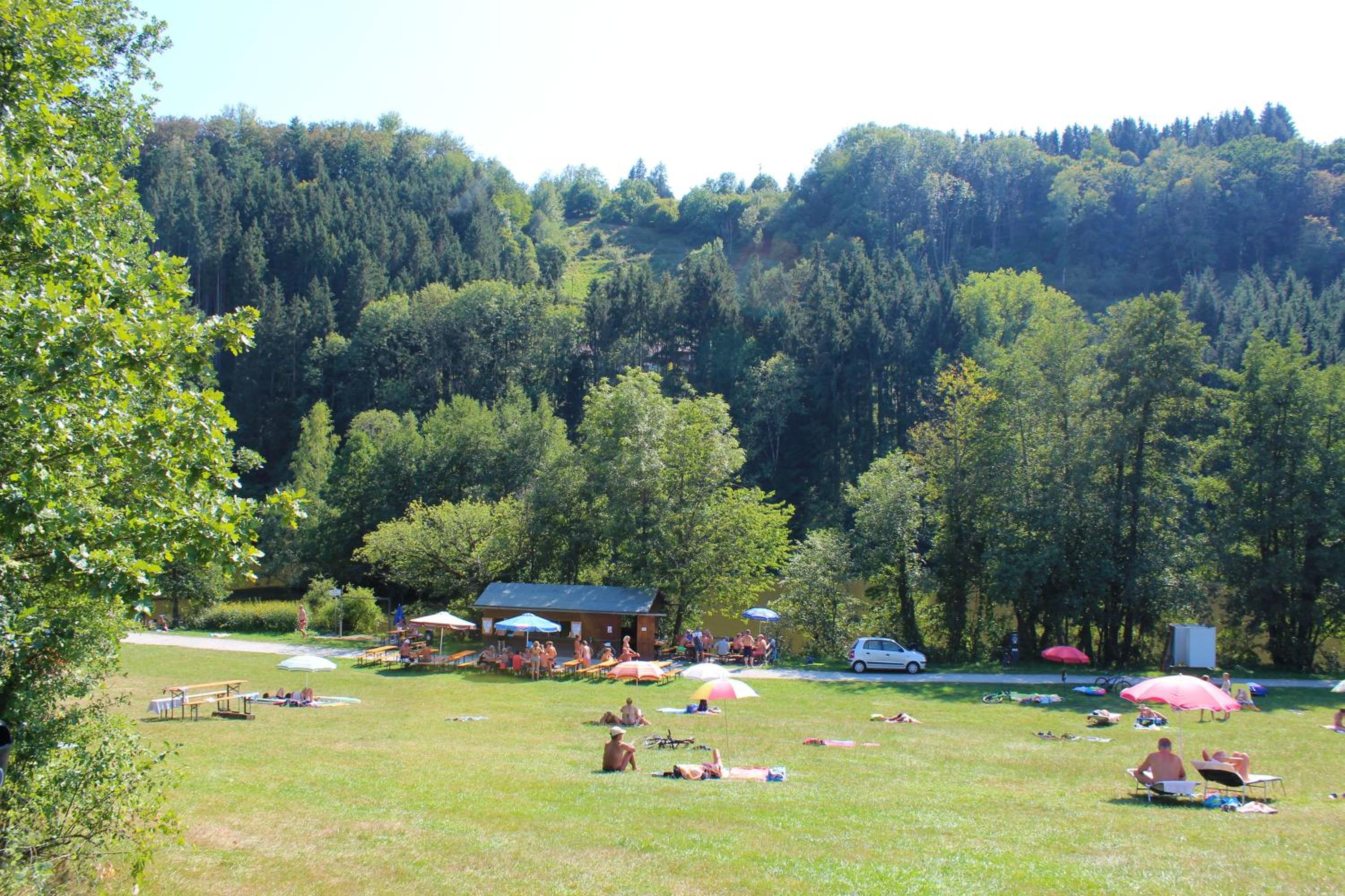 Photo 7