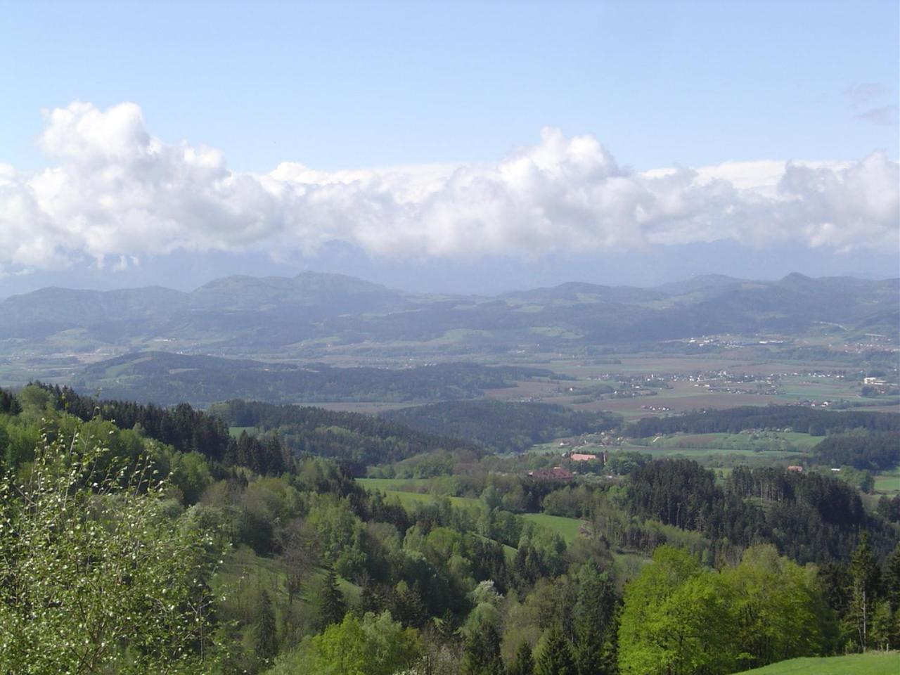 Photo 35