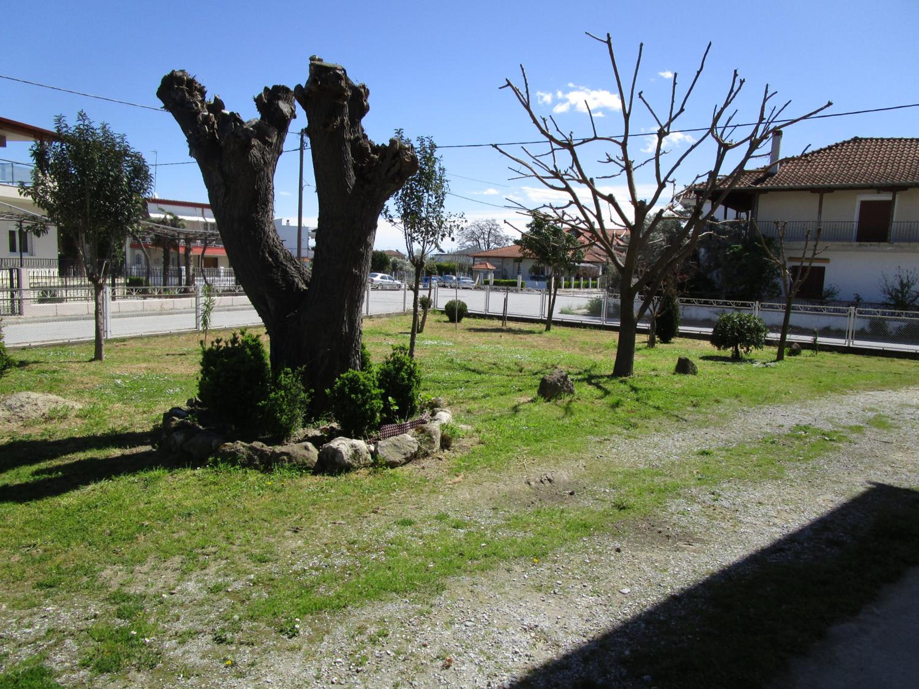 Photo 9