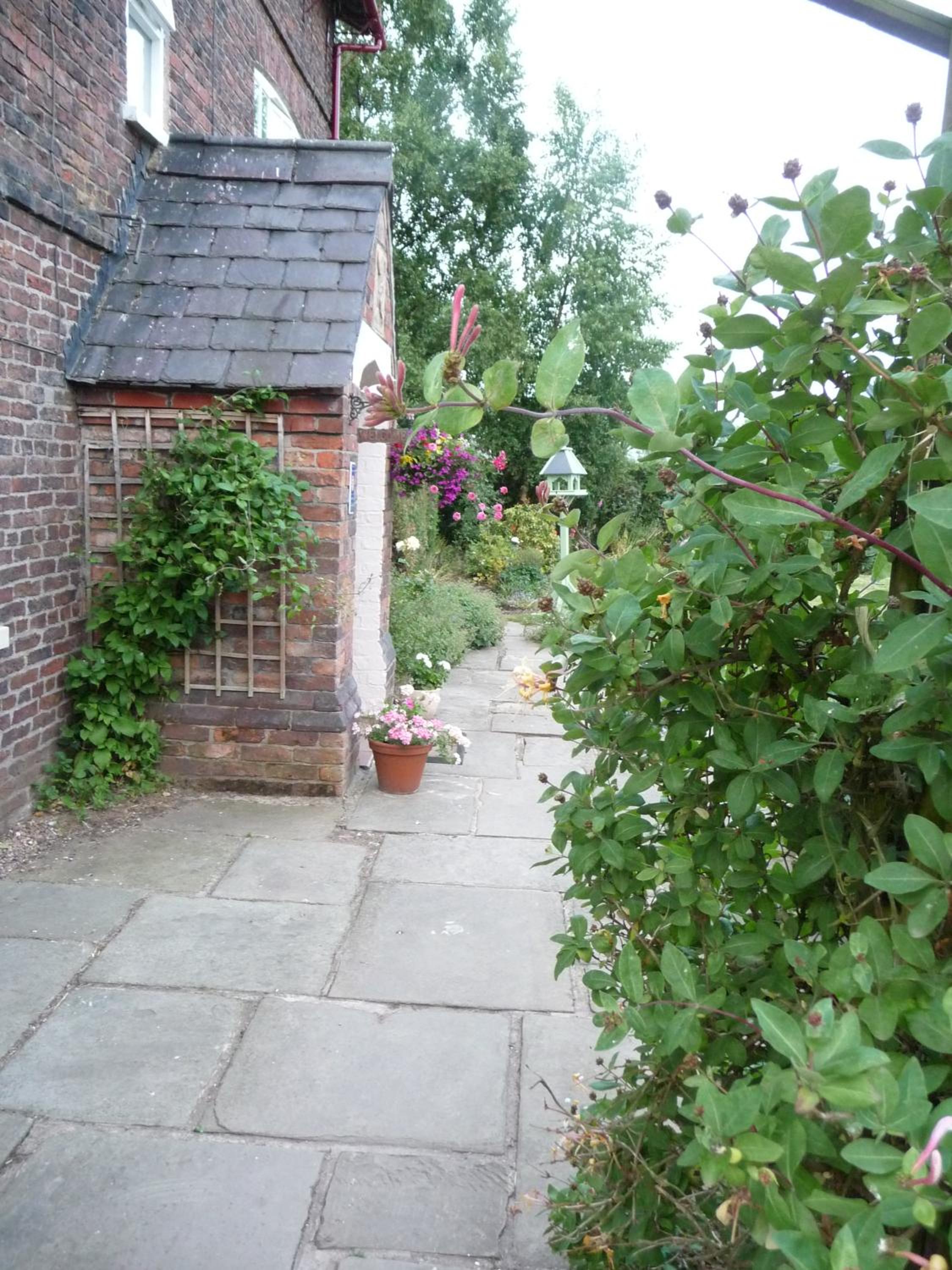 Photo 62