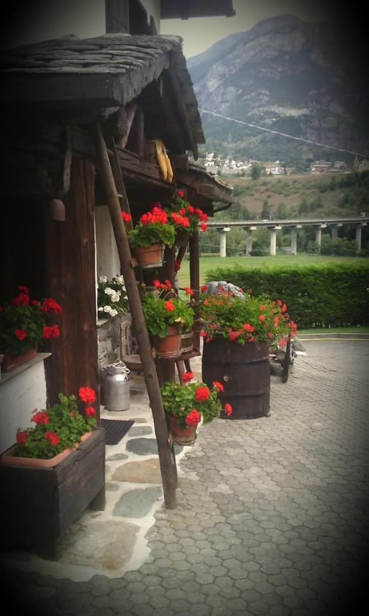 Photo 14