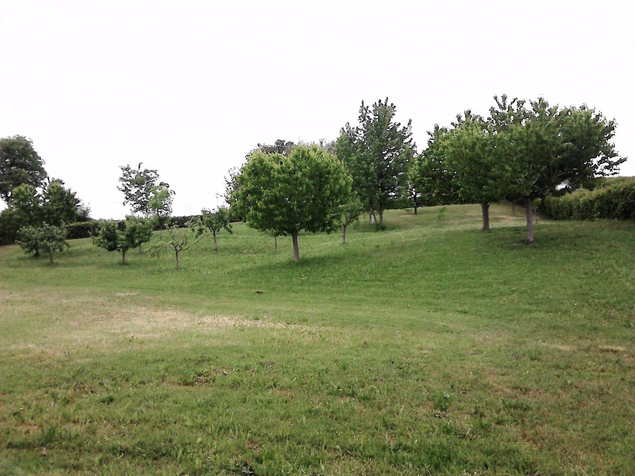 casa in campagna _LORI view 3