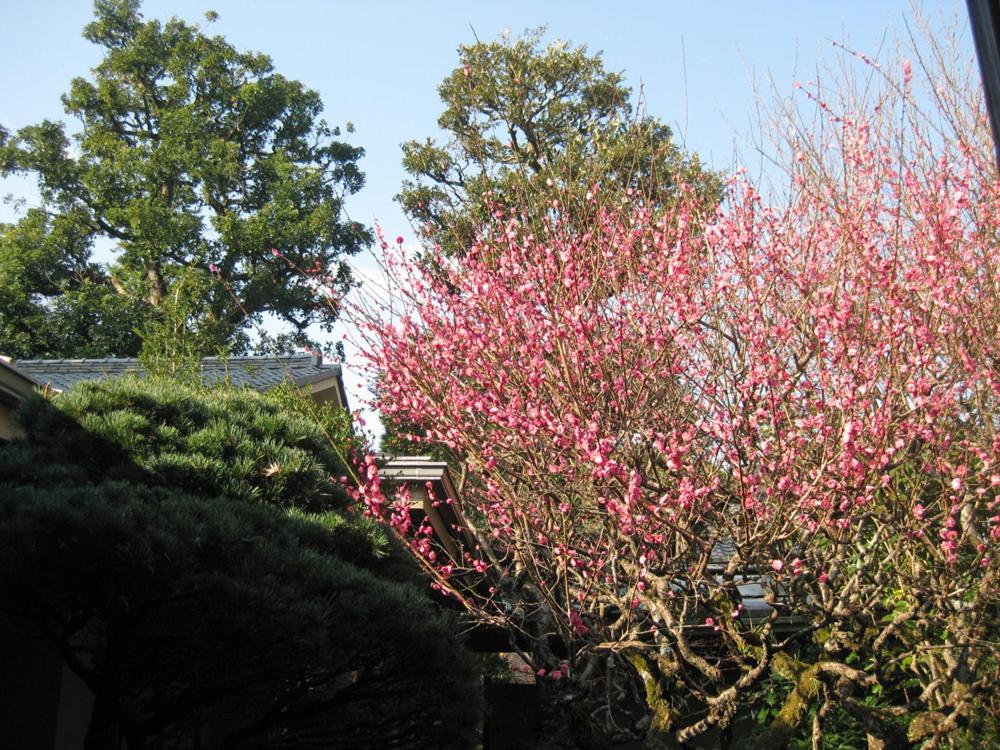 Gyokutei