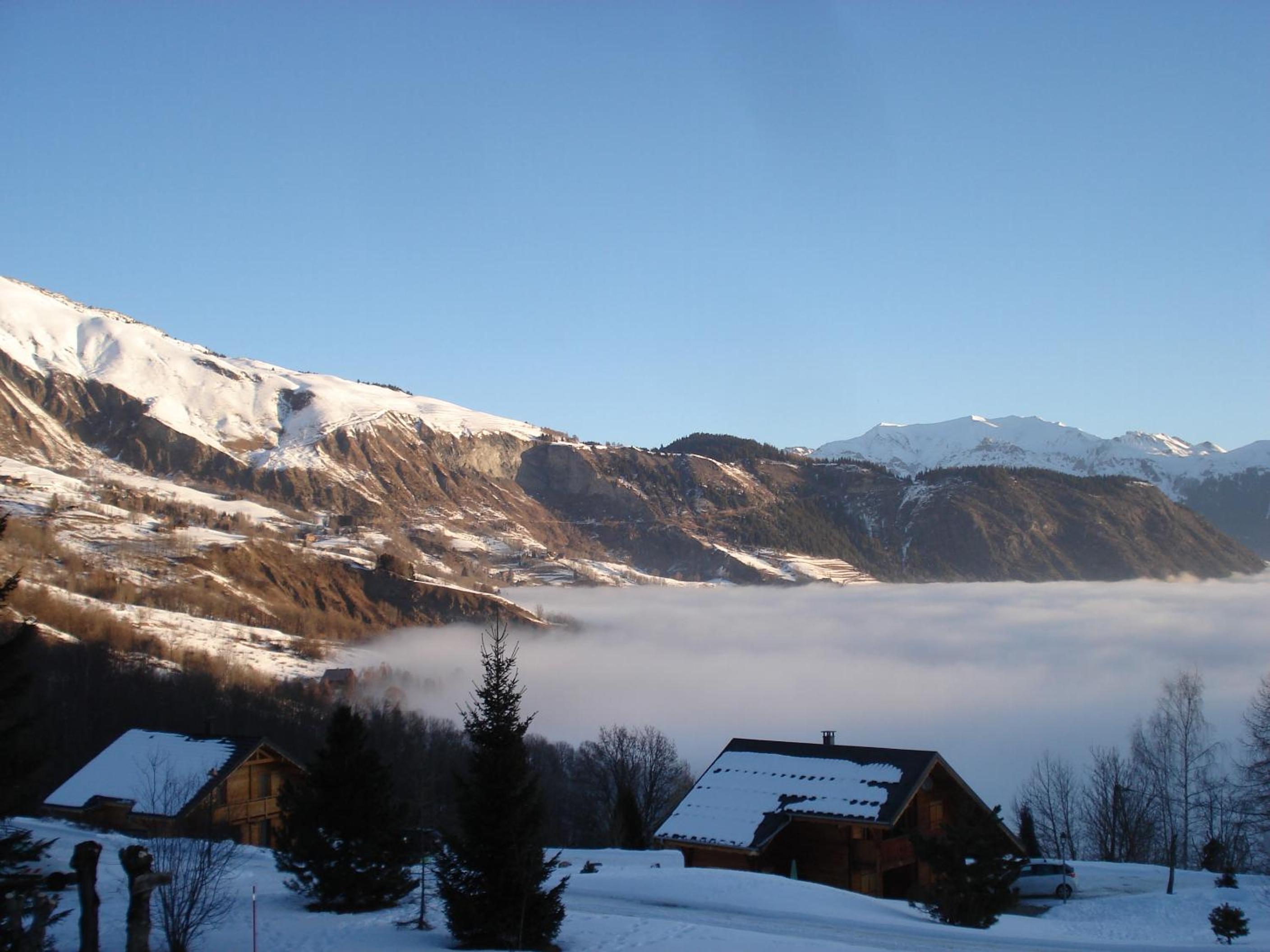 Photo 44