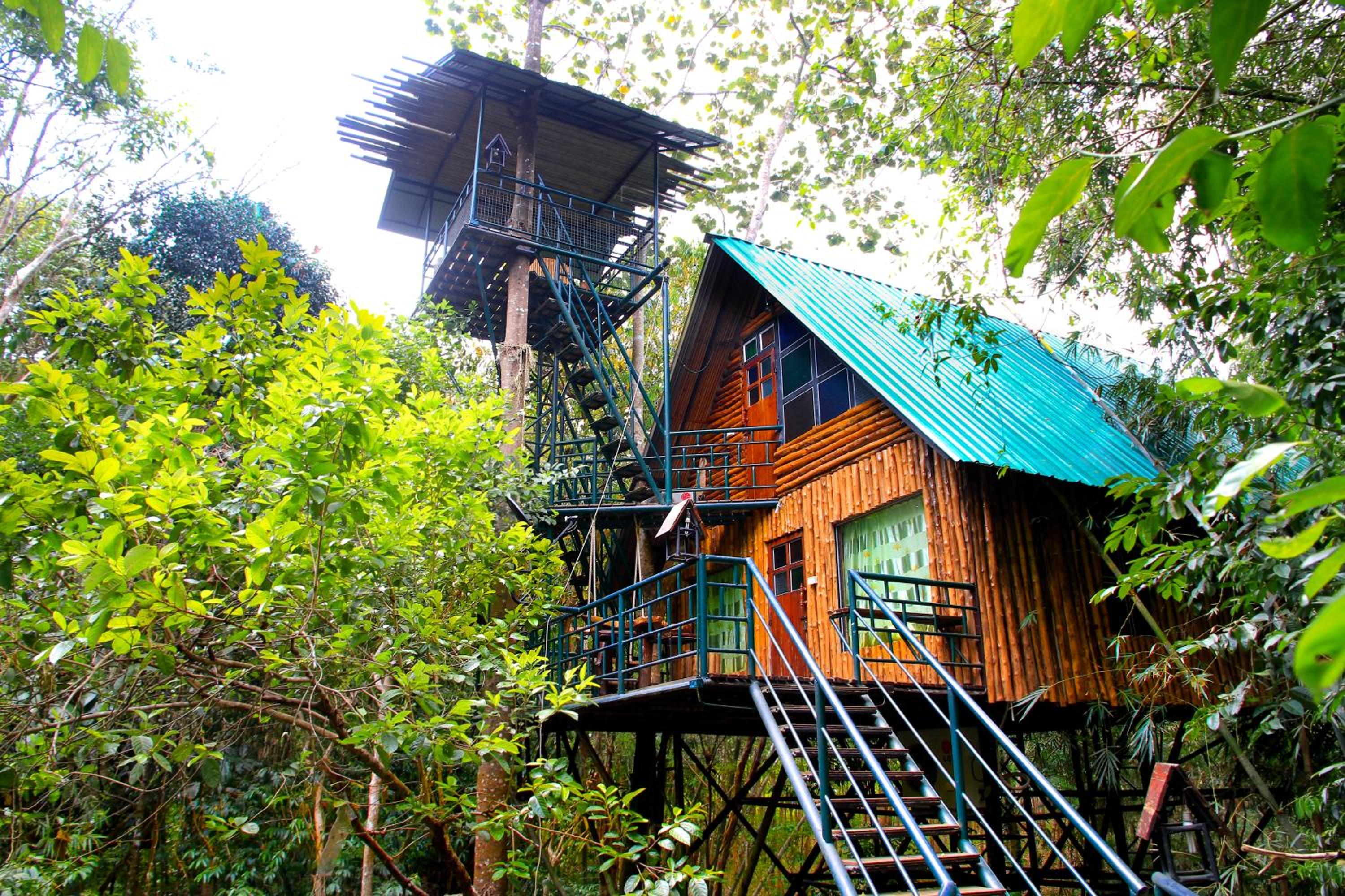 Hotel Khao Sok Tree House Resort