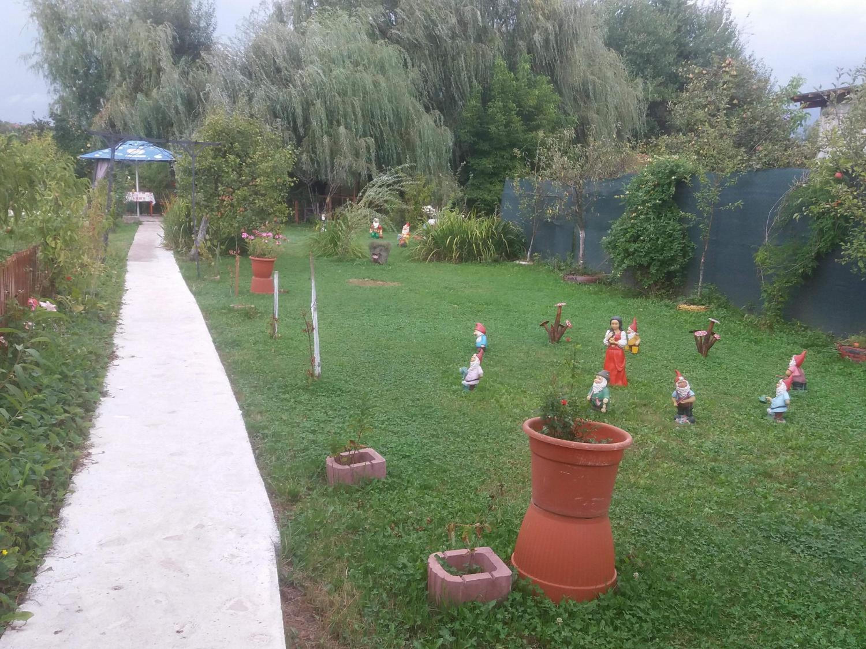 Photo 16