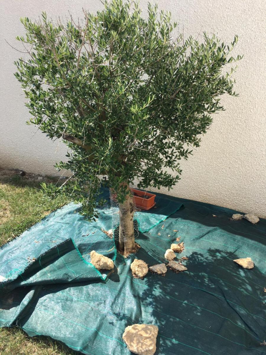 Photo 13