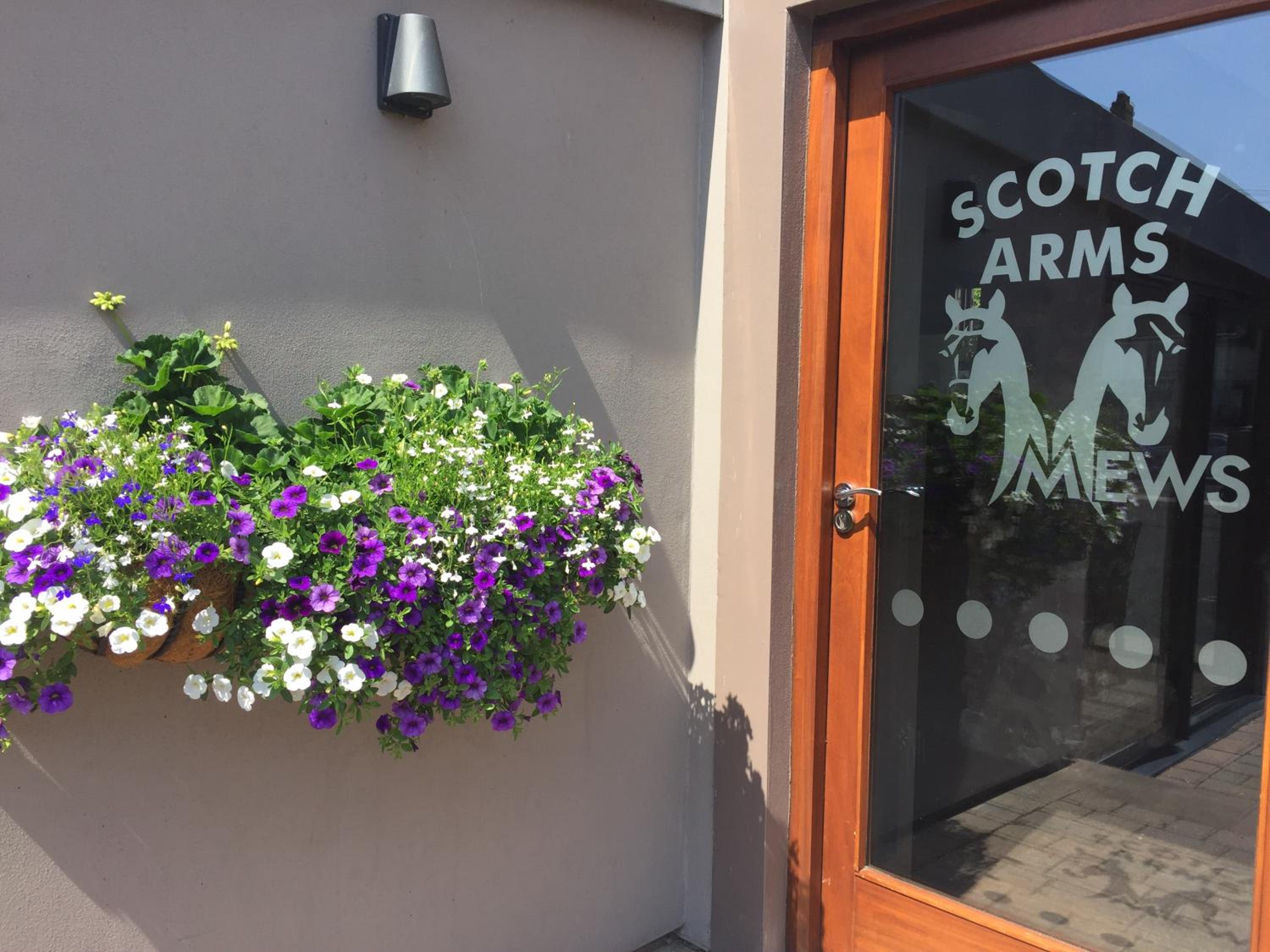 Scotch Arms Mews Bed & Breakfast, Brampton Town Centre, Hadrians Wall