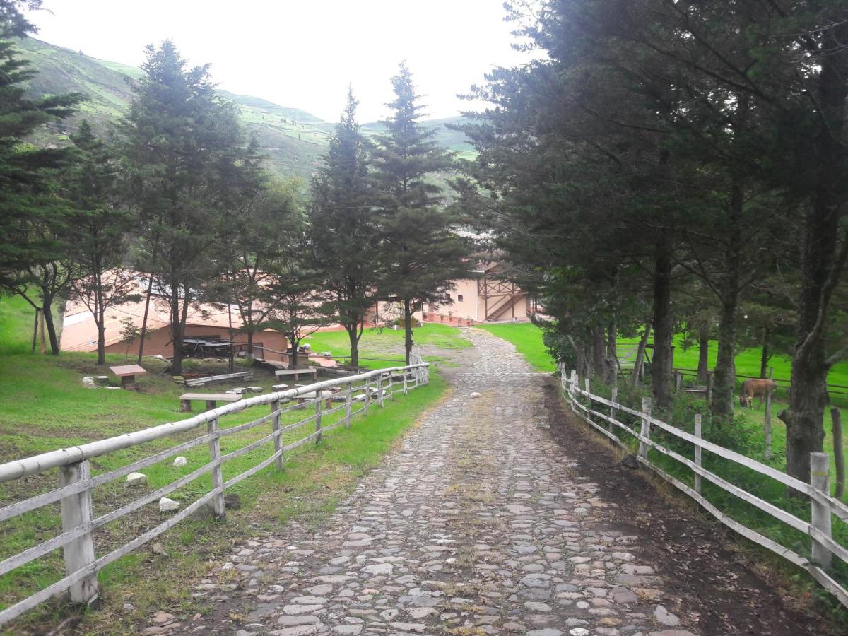 children's play area