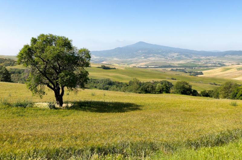 Agriturismo Le Macchie