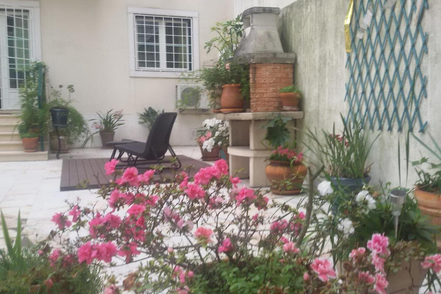 Sunny Green Terrace view 3