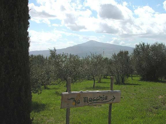 Agriturismo Le Macchie
